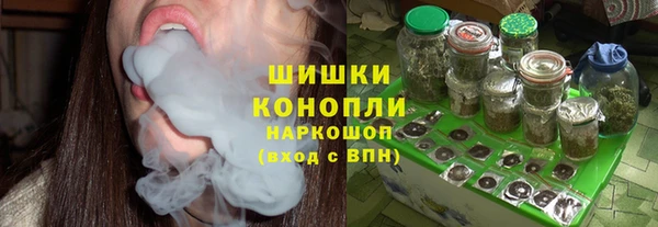 мдпв Богородск
