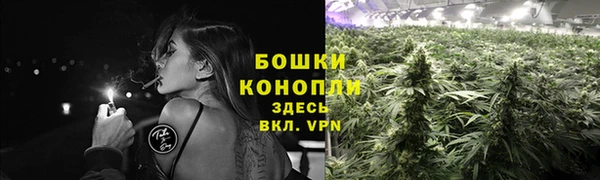 винт Бородино