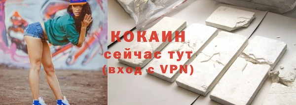 мдпв Богородск
