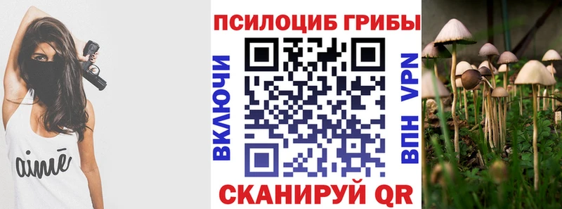 Псилоцибиновые грибы MAGIC MUSHROOMS  хочу наркоту  мега ONION  Гремячинск 